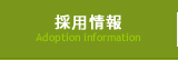 採用情報